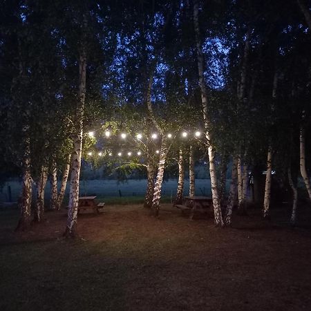 Hostel Lc Hoyo de Epuyén Εξωτερικό φωτογραφία